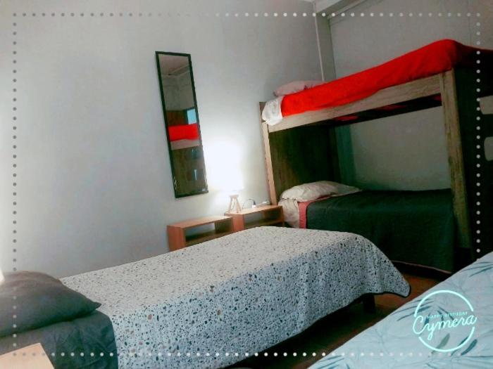 Patagonia Magica Apartment Punta Arenas Ngoại thất bức ảnh